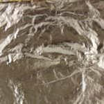 Gold Silver Leaf